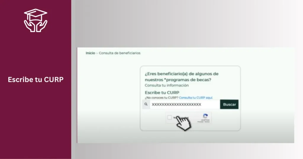 Cómo utilizar el Buscador de Estatus Beca Rita Cetina 2025 2 Escribe tu CURP. Rita Cetina Beca