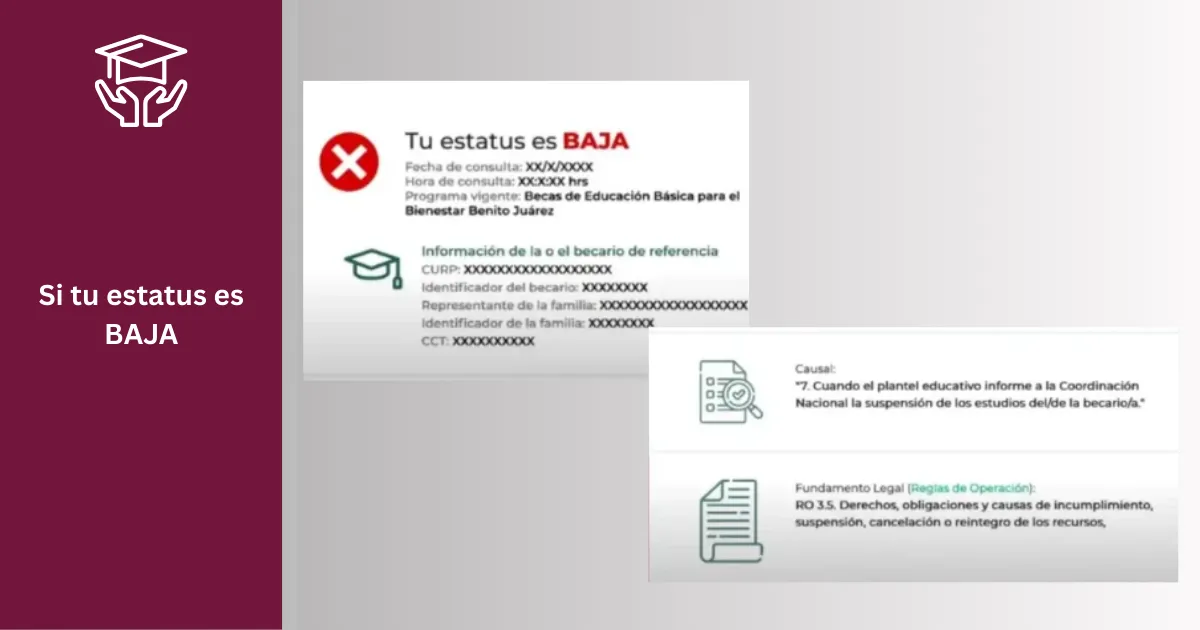 Cómo utilizar el Buscador de Estatus Beca Rita Cetina 2025 5 Si tu estatus es
BAJA. Rita Cetina Beca